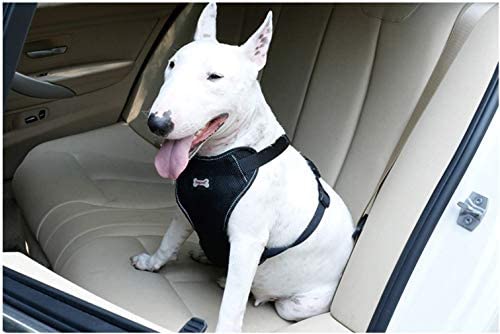 Chaleco y Arnes con Cinturon de seguridad de coche para Perro Talla &quot;XL&quot;