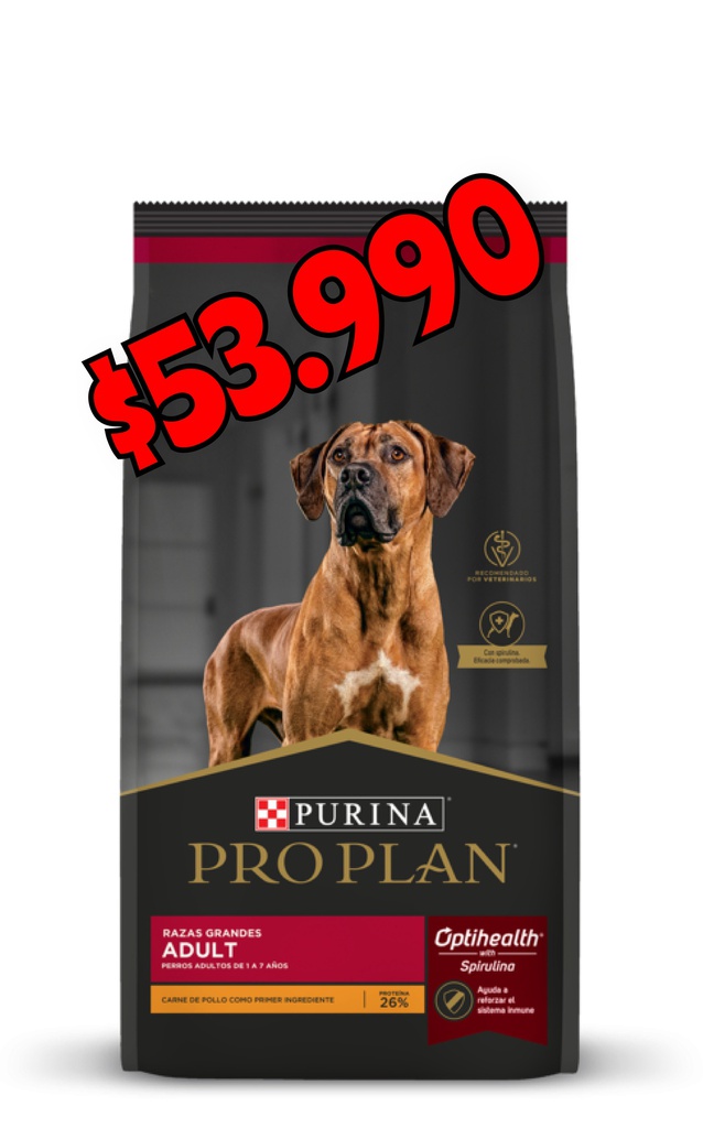 Pro Plan Adult Large 15kg