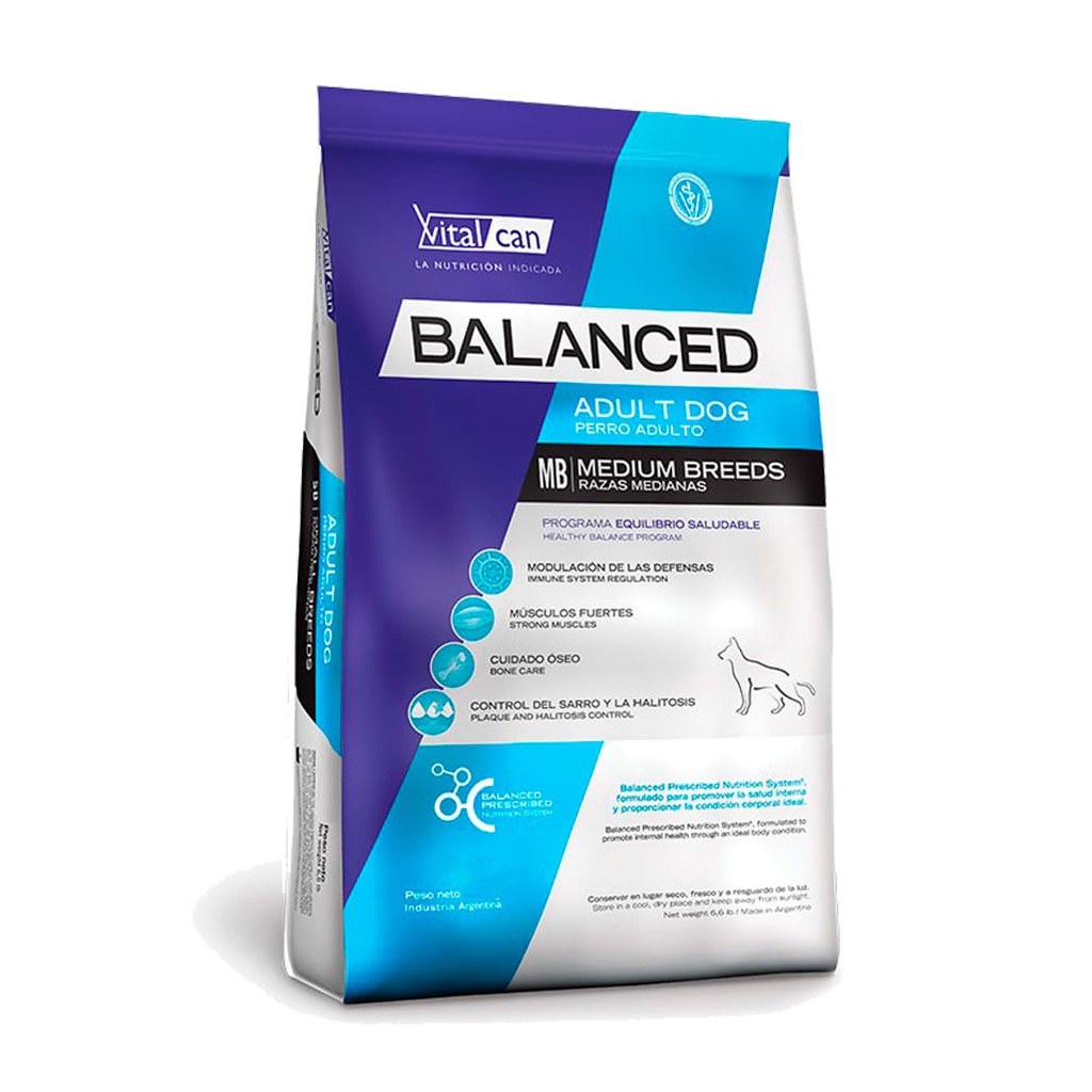 Balanced Adult Medium 20kg